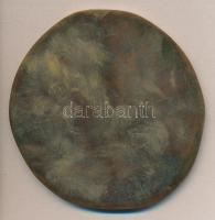 ~1960. Magyar Hajózási Részvénytársaság "MHRT Hűségért - Munkáért" Br plakett (85mm) erede...