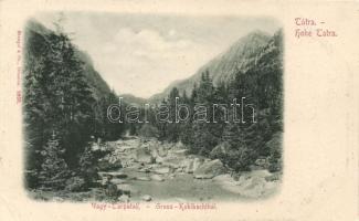 Tátra Nagytarpatak (EK)