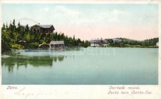 Tátra Csorba-tó (cut)