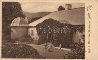 Berzevice castle (EB)