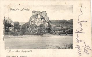 Árvavára castle (fl)