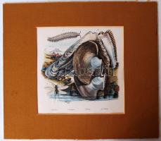 1838 TRAVIES Edouard: DU CASSE GUERIN, színes kőnyomat, dúcon jelzett, paszpartuban 22×25 cm