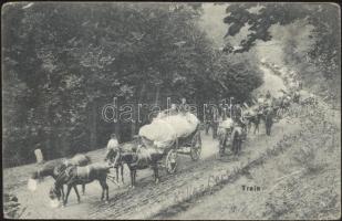 Military WWI, K.u.K. army, carriage