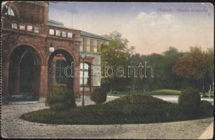 Miskolc Népkert (b)