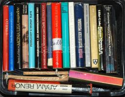 Ládányi könyvtétel 20db, művészek életével foglalkozó kötettel