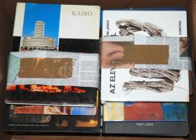 Ládányi könyvtétel 24db művészeti albummal