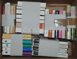 Nagy ládányi könyvtétel