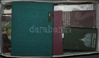 Nagy ládányi könyvtétel 50db idegen nyelvű, művészeti témájú kötettel