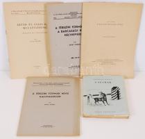 5db munka Szabédi László (1907-1959) erdélyi magyar költőnek dedikálva: Pais Dezső, A magyar irodalmi nyelv etc.
