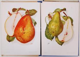 1941 Pomológia V.: Körte I. Szerk. dr. Kerekes Lajos. 40db művészi nyomattal. Kiadói félvászon tokba...