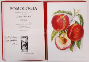 1937 Pomológia I.: Őszibarack I. Szerk. dr. Kerekes Lajos. 40db művészi nyomattal. Kiadói aranyozott...