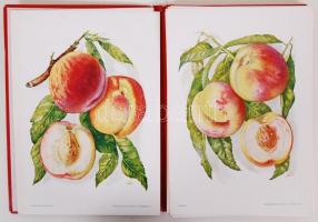 1937 Pomológia I.: Őszibarack I. Szerk. dr. Kerekes Lajos. 40db művészi nyomattal. Kiadói aranyozott...