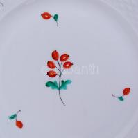 Herendi csipkebogyó mintás süteményes készlet, kézzel festett, jelzett, hibátlan, tányérok d:19 cm, ...