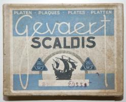 cca 1920 14db üvegnegatív családi, ill. mezőgazdasági gépekről, tűzoltófelvonulásról, ill. a Magyar....