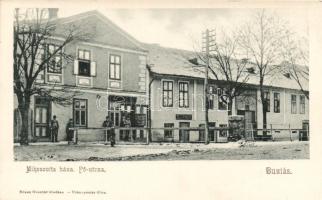 Buziás main street, the Mikosovits houe