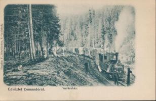 Kommandó forest railway, timber transport