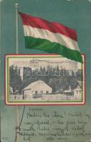 Ungvár castle, flag litho (fl)