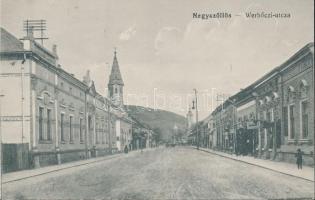 Nagyszőllős Werbőczi street, bank