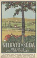 Nitrato del Chile fertilizer, advertisement