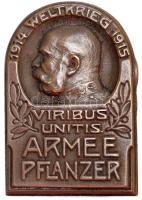 Osztrák-Magyar Monarchia 1914-1915. "Pflanzer Hadsereg 1914-15" ezüstözött tombak sapkajelvény (38x25mm), hátoldalán "G.Gurschner Wien VII/2" jelzéssel T:2 Austro-Hungarian Monarchy 1914-1915. "Armee Pflanzer" silver-plated tombac cap badge (38x25mm) maker: "G.Gurschner Wien VII/2" C:XF