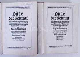 E. Gramberg: Pilze der Heimat I-II. Leipzig 1913. Vászonkötésben, 116 színes táblával