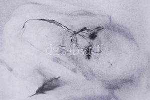 Szalay Lajos (1909-1995): Mitológiai jelenet. Tus, papír, jelzett, üvegezett keretben, hátoldalán fé...