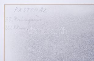 Szalay Lajos (1909-1995): Mitológiai jelenet. Tus, papír, jelzett, üvegezett keretben, hátoldalán fé...