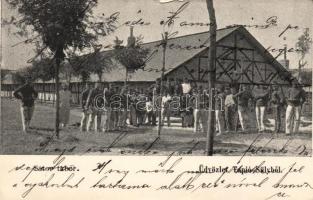 Tápiósüly sátor tábor (kis szakadás / small tear)