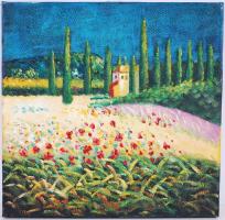 Jelzés nélkül: Toszkán táj. Olaj, vászon, 50x50cm