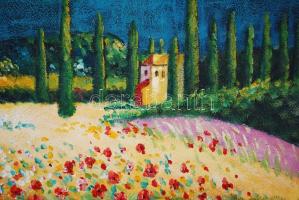 Jelzés nélkül: Toszkán táj. Olaj, vászon, 50x50cm