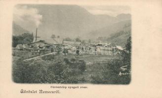 Remec sawmill from West