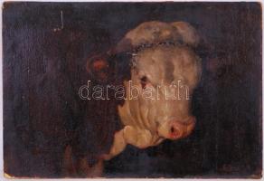 Edvi Illés Aladár (1870-1958): Boci fej. Olaj, farost, jelzett, 45×30 cm