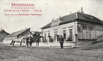 Pécs Meisenzahl lókereskedés