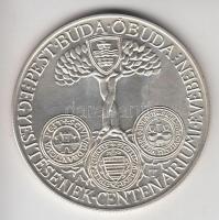 Asszonyi Tamás (1942-) / ÁPV 1973. "MÉE IV. Vándorgyűlése Budapest / Pest Buda Óbuda egyesítésé...