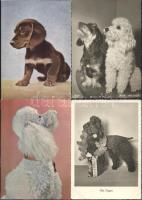 61 db modern, kutyákat ábrázoló motívumlap / 61 pieces modern dog motive cards