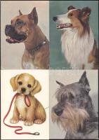 62 db modern, kutyákat ábrázoló motívumlap / 62 pieces modern dog motive cards