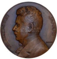 Berán Lajos (1882-1943) 1911. "Dr. Szendrei János" művészeti író, történész, a Magyar Tudományos Akadémia tagja  bronz emlékérem (70mm) T:1-  1911. Dr. János Szendrei author, historian, member of the Hungarian Academy of Sciences Br medallion Sign: Lajos Berán (70mm) C:AU HP 1139