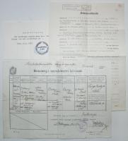 1897-1957 Gobóczy Zoltán alezredes személyes okmányai. Születési, keresztelési anyakönyvi kivonat, igazolások, mikor mint 56-os menekült Svájcban munkát vállalt... 10db okmány