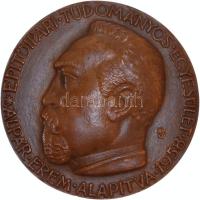 Konyorcsik János (1926-2010) 1958. "Alpár Érem - Építőipari Tudományos Egyesület" Br emlékérem (90mm) T:1-,2 1958. Alpár Medal - Scientific Association of Construction Br medallion (90mm) sign.: János Konyorcsik C:AU,XF