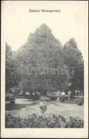 Mezőnyárád park (EK)