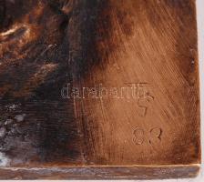 Tőrös Gábor (1934-): Druidák 1983. Bronz, jelzett, m:70 cm, h:43 cm, s:51 kg!!/ Gábor Tőrös from Tra...