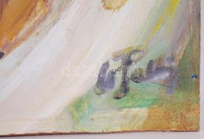 Cs. Pataj Mihály (1921-): A legszebbik. Olaj, farost, jelzett, 45×68 cm