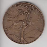 Kiss Nagy András (1930-1997) DN. "Csontváry Tivadar 1853-1919 / Magányos Cédrus" Br emléké...