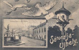 Sátoraljaújhely Vármegyeháza, galambposta