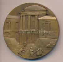 Szovjetunió 1989. "Matvej Kazakov 1738-1812" orosz építész Br emlékérem (60mm) szignó: Vor...
