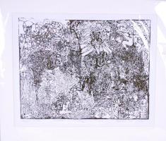 Pálinkás Éva: Megtisztító Rituálé. Linómetszet 7/30, papír, jelzett, paszpartuban, 51×59 cm