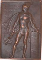 Telcs Ede (1872-1948) 1914. "Rechnitz Béla" gumigyár igazgató 1904-1914 bronz kétoldalas p...