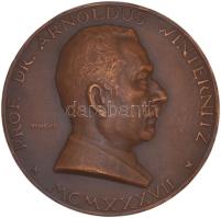 Vincze (Weisz) Pál (1907-1994) 1937. "Dr Winternitz Arnold" sebészprofesszor Br egyoldalas emlékérem (61mm) T:2 1937. Surgery professor Dr Arnold Winternitz Br medallion (61mm) sign: Pál Vincze C:XF HPII 3008.