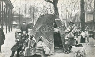 Budapest XIV. Állatkert, lappföldiek