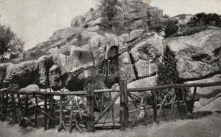 Budapest XIV. Állatkert, sziklahegy